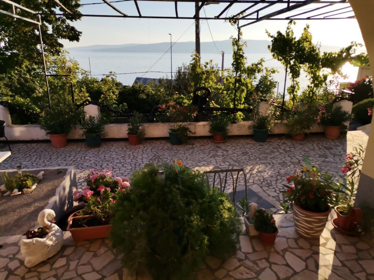 Apartmani Sidro Senj Senj  Eksteriør bilde